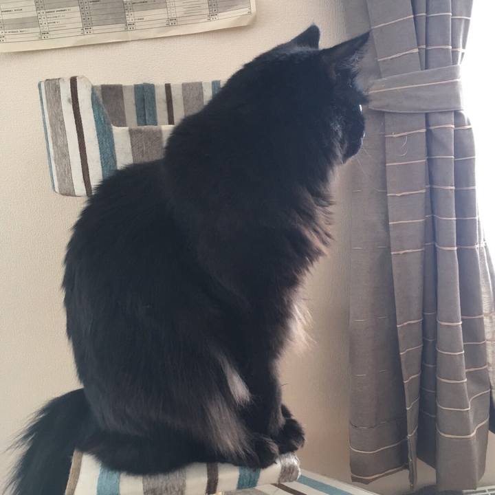 1bcc1e5c c2da 4566 85f0 272e3104ddeb