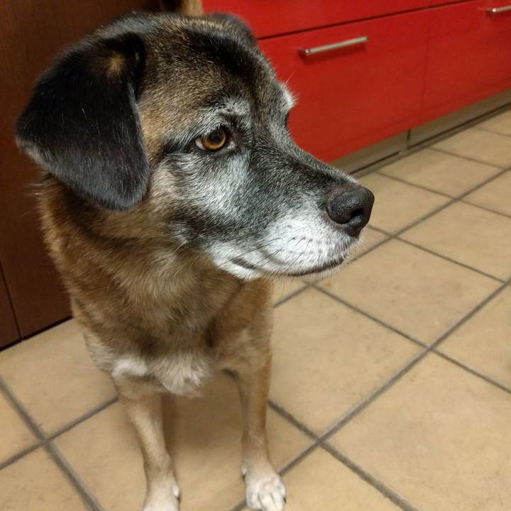 1bcc4317 9e91 433a ac59 04fcc194dd89