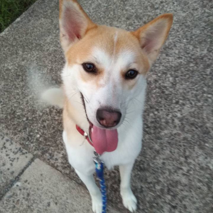 1bcc86ab 612c 430c 8c97 3733bc19737a