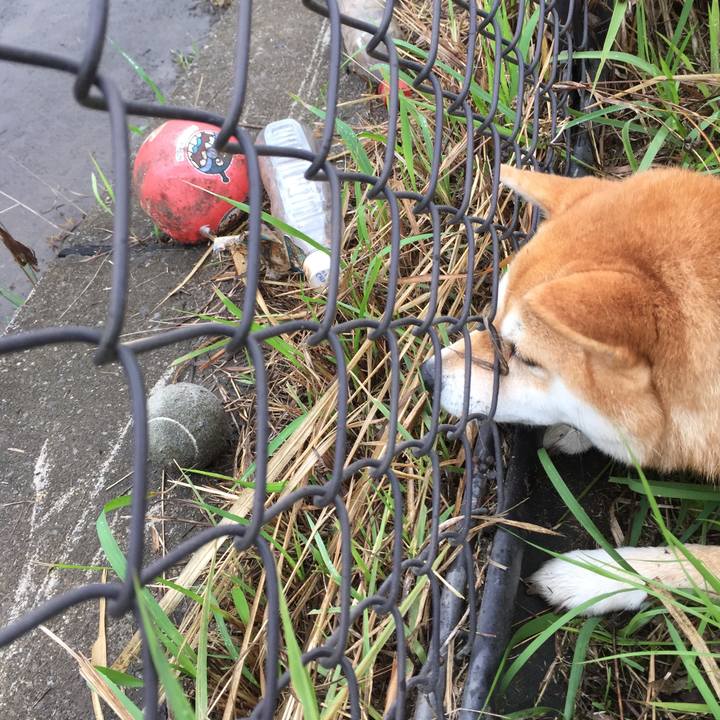 1bcce525 0f68 43ca 8c21 50a089ec64e8