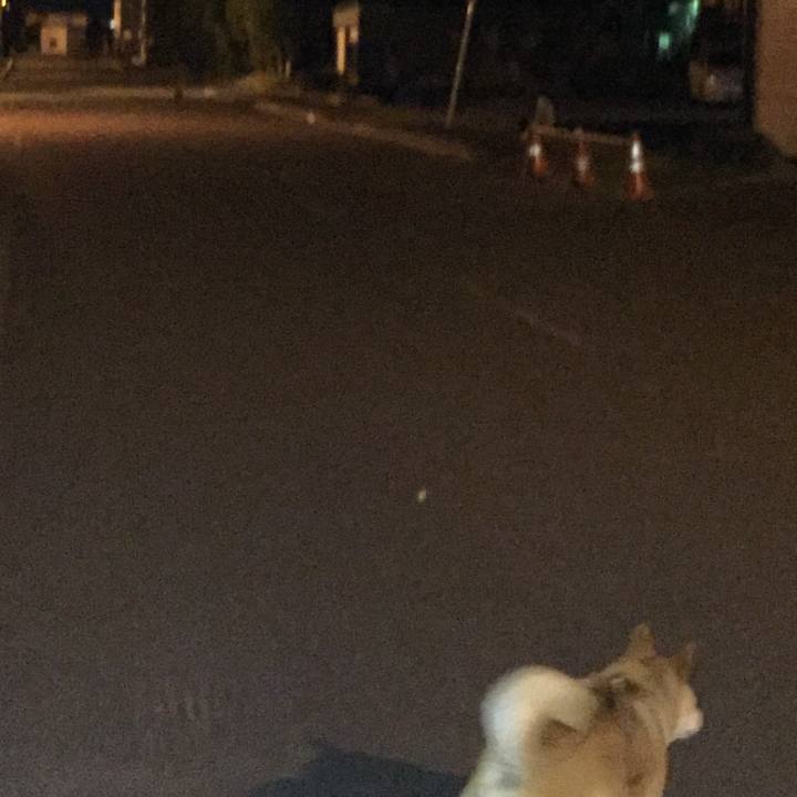 1bcd5dcc cb2f 40a8 a3f4 47469cf7f853