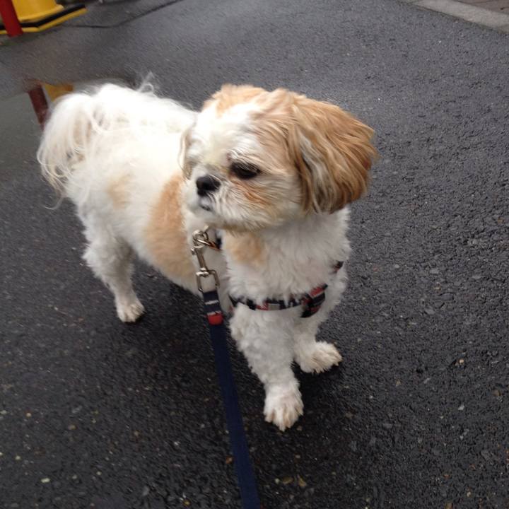 1bcd61c0 6f76 4eab ac12 38ee7b0cd1b3