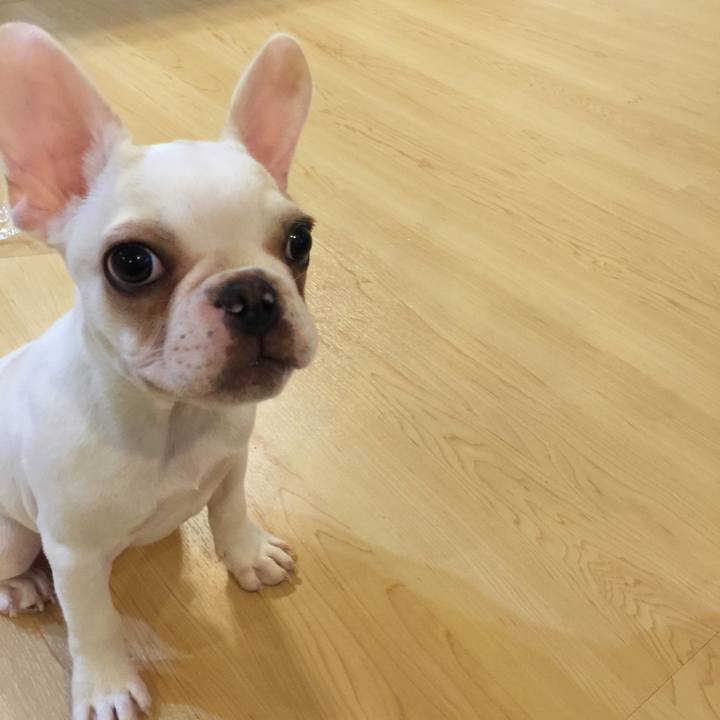 1bcd715f 0566 4465 a184 1db330ce728f