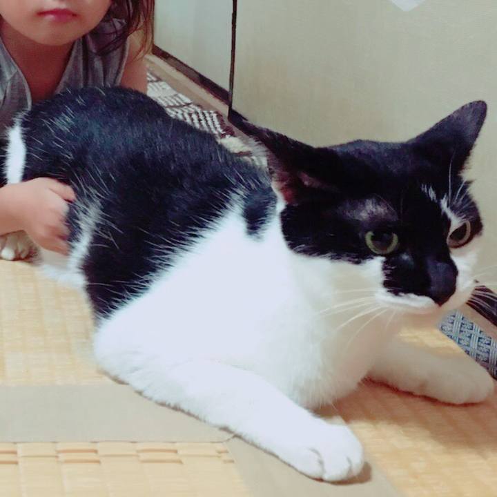 1bcdb06a d3f5 45bf 9e86 2b97e105978b