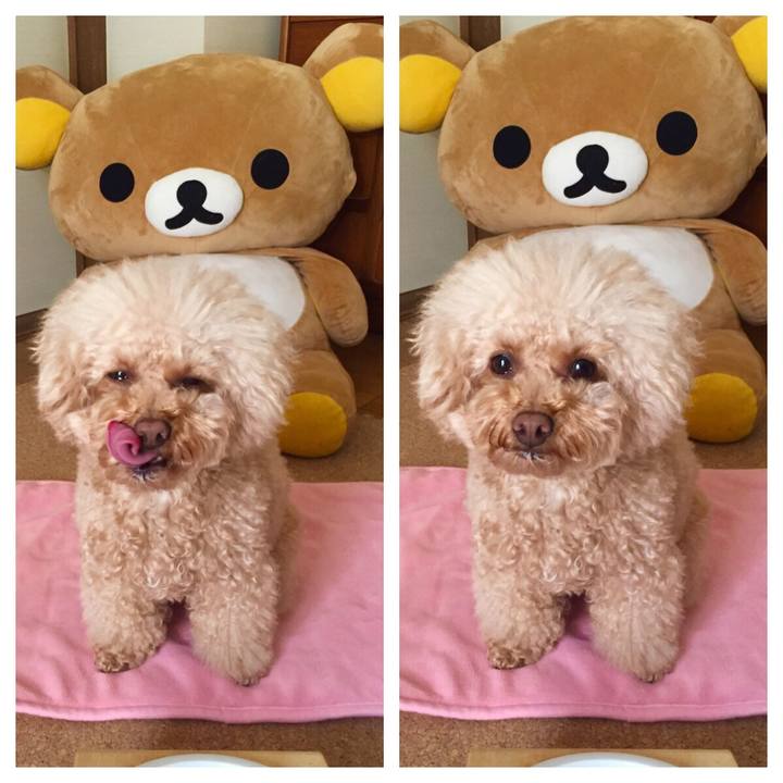 1bce6277 71d2 4240 abec 7d6885946d5f