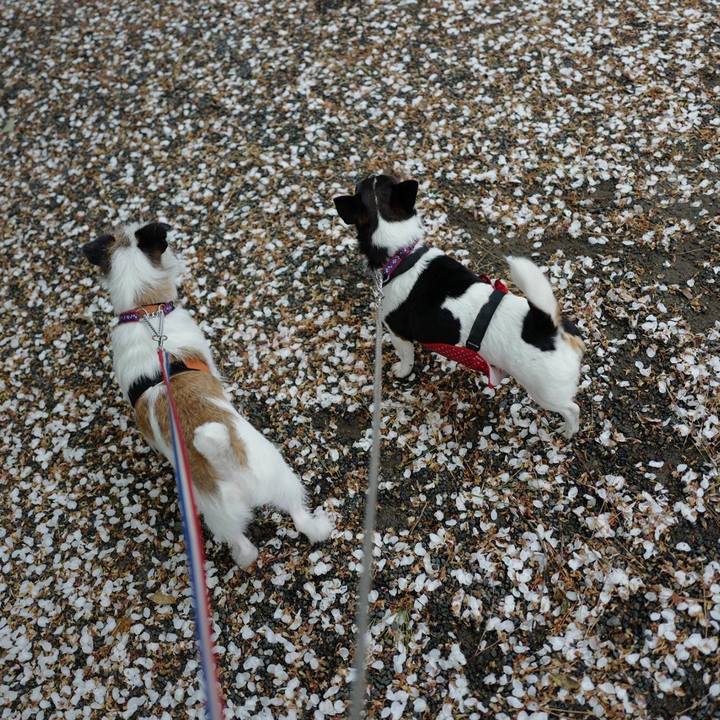 1bce6f23 92b9 472d a646 cc86b9854c48