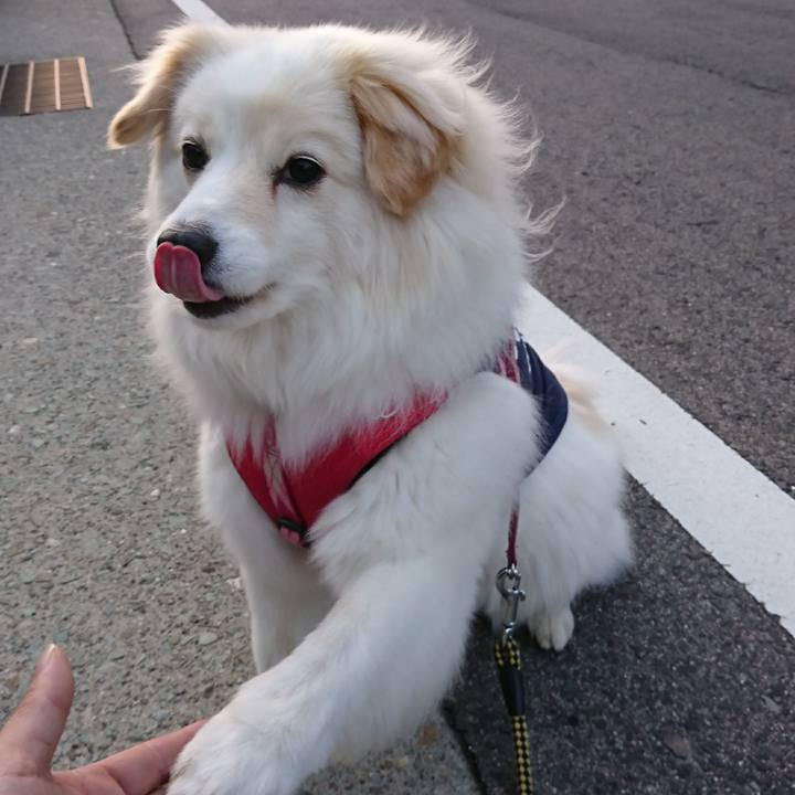 1bcfc758 b62e 4b89 adb1 f593dc41e27c