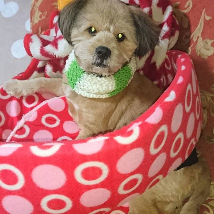 1bd006ad 729e 421a a58b 423bf11a6a73