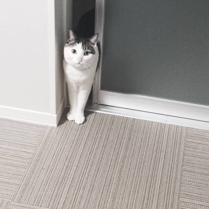 1bd03f39 76c3 4369 b17a b74db009959c