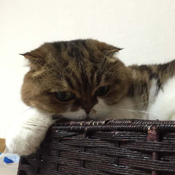 1bd0e453 2ddd 4989 89ec b0f7f946100d