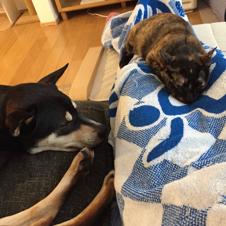 1bd0f15c a05e 43fe a910 3081c43faa7a