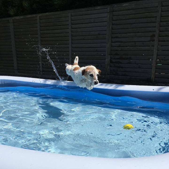 1bd114e9 4766 4e3c a337 d8a14b9f6dcd