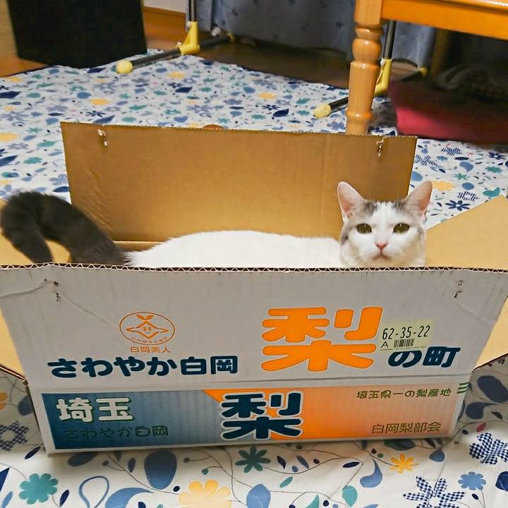 1bd182c8 a50c 4cf9 8f9d 13db692244d0