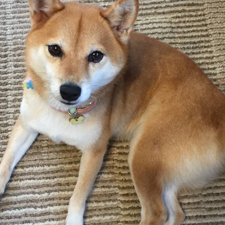 1bd1905f bcbf 4e96 8f04 9fa8f05e7691