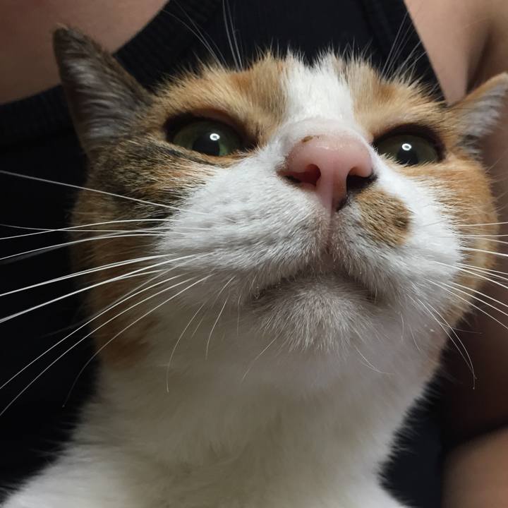 1bd1cd81 3931 4d60 88b7 afa398ffccca