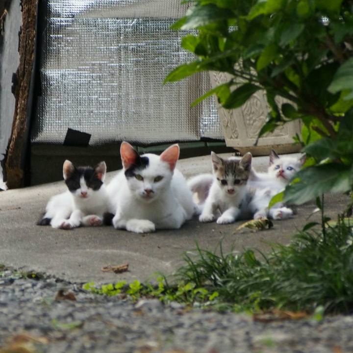 1bd20114 a5a7 4623 a137 2316cc06be7b