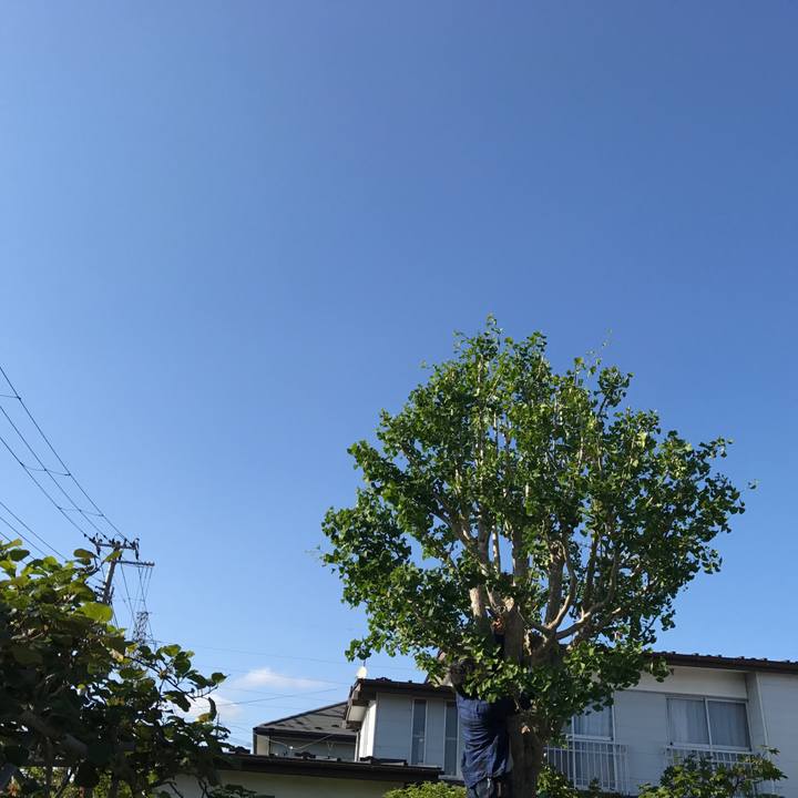 1bd2f084 3227 4da0 9e27 97ed91805767