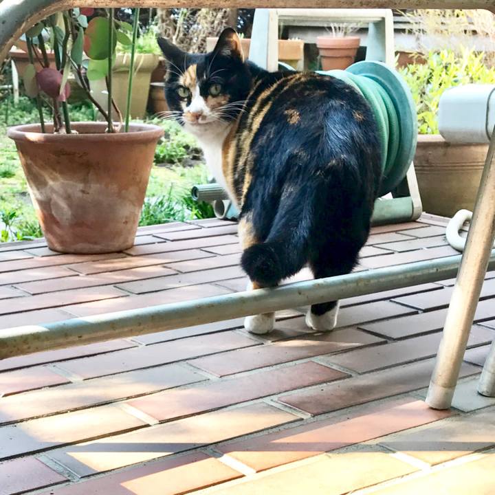 1bd34db5 9705 4991 afbb ec294371b8ae