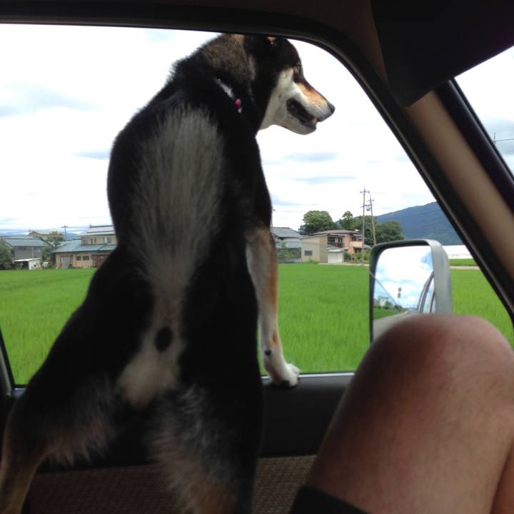 1bd3ae5e bd10 4e7e a2bb d9779882e858