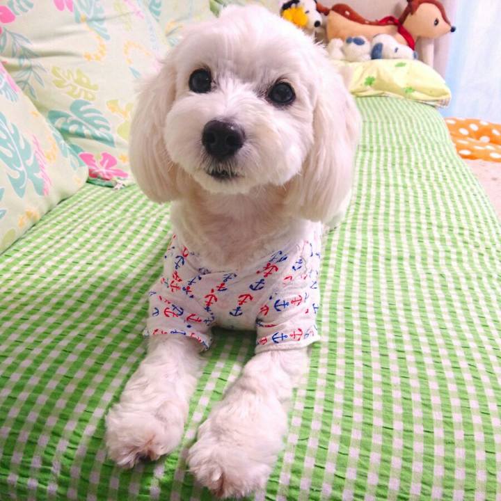 1bd3ba85 eeca 41f5 b33b 10f23d29ea06