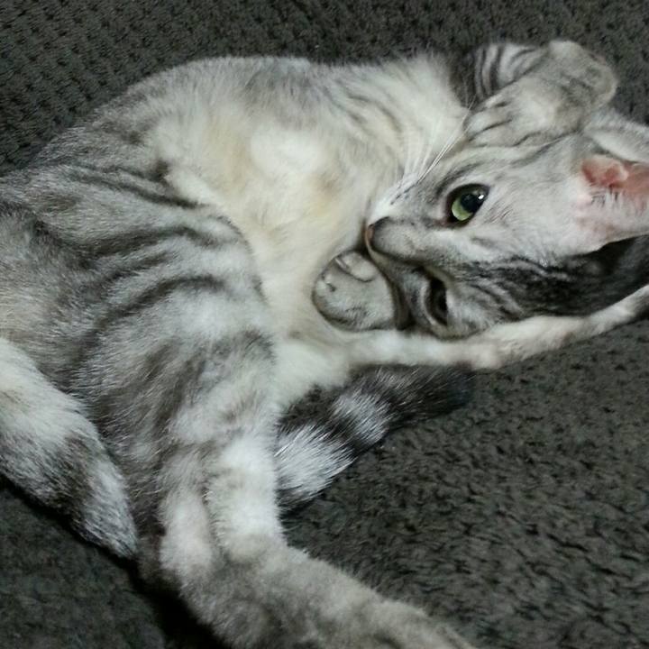 1bd48b61 f744 4eba b6a9 8988dfc5b46b