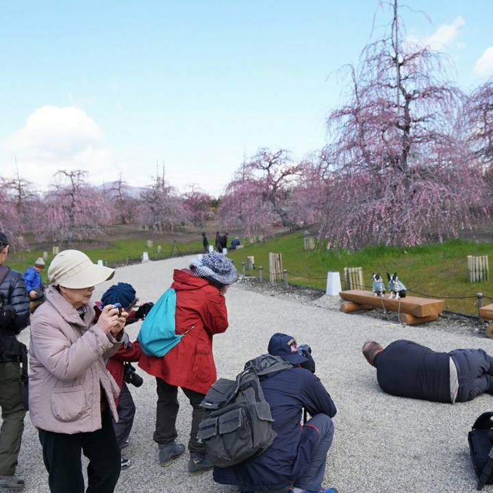 1bd4a387 679a 4bc5 ad6e 0e50de81dba5