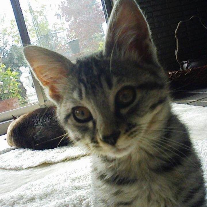 1bd4dadc b2b1 40c6 8476 e5df4497682d