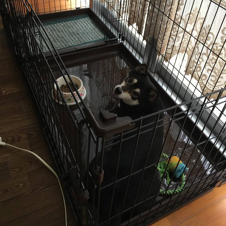 1bd52383 4dab 4551 bfdb 6fcc60b51e65