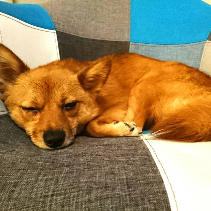 1bd5331e ff3a 4c1b b18f db37e942fc3c