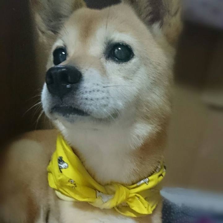 1bd580d7 8f92 4de6 b491 00c96eba2f86