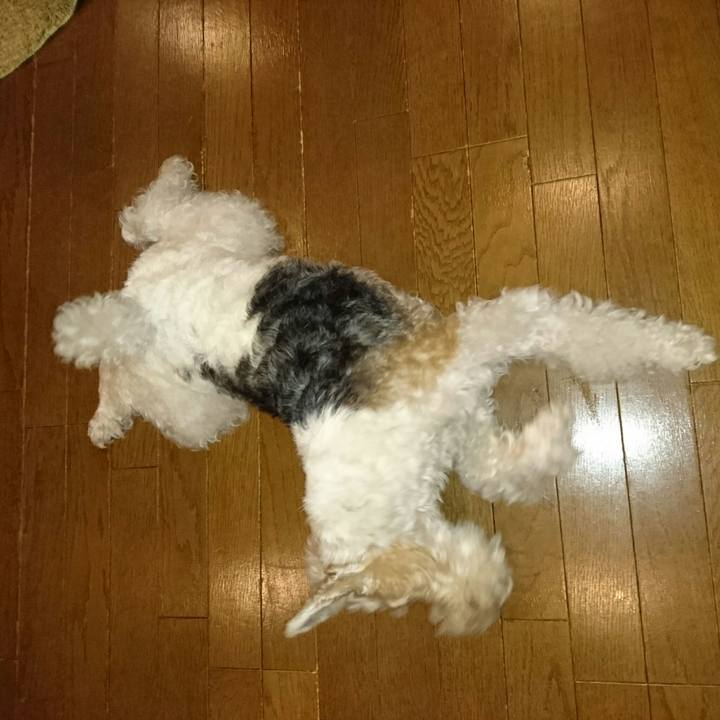 1bd5c0a4 70e0 4ee9 a5bb 9b604ca5b890