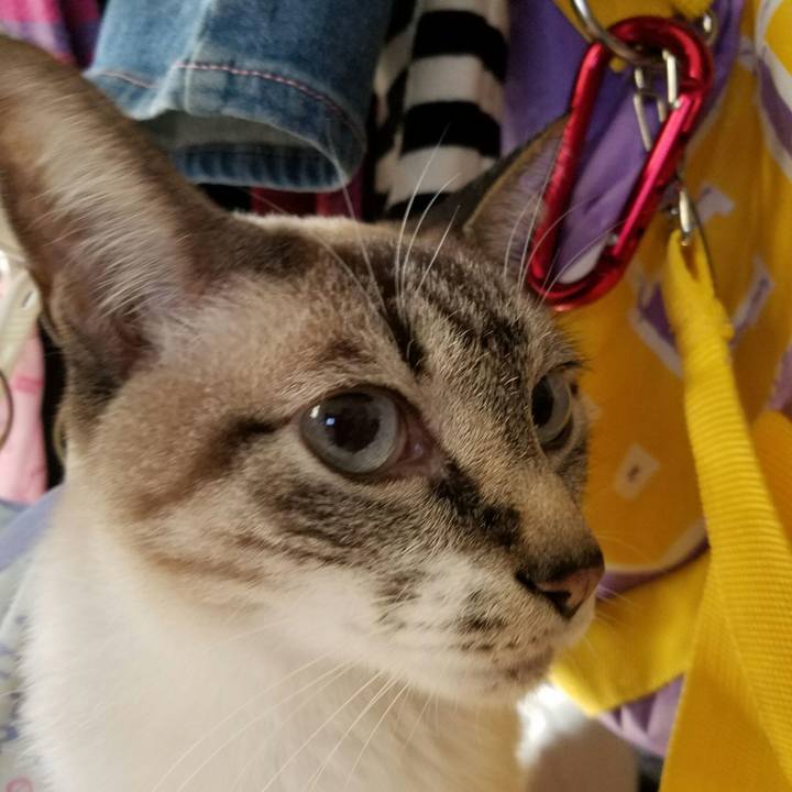 1bd642ba b9ff 45c7 bbcd ee2fc71bcfd9