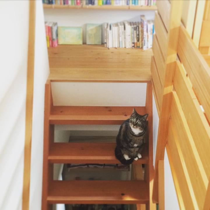 1bd6a2bd 2c5d 41e5 9162 0ed175e4ad69