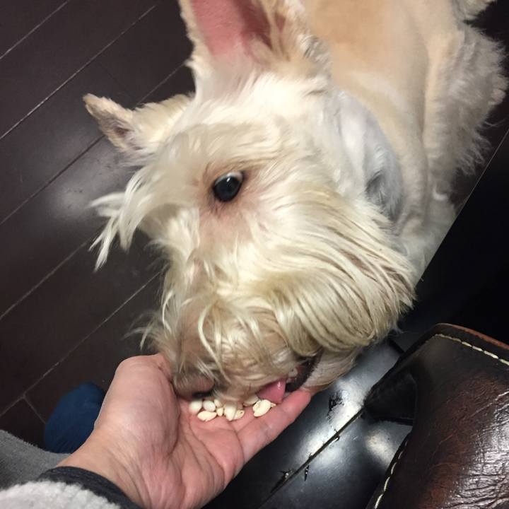 1bd6e18d 61b4 442a b3a5 65b56c5f29a8