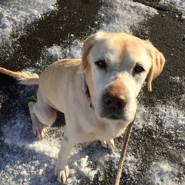 1bd74597 3d11 434c 9faf f73a5a149a46