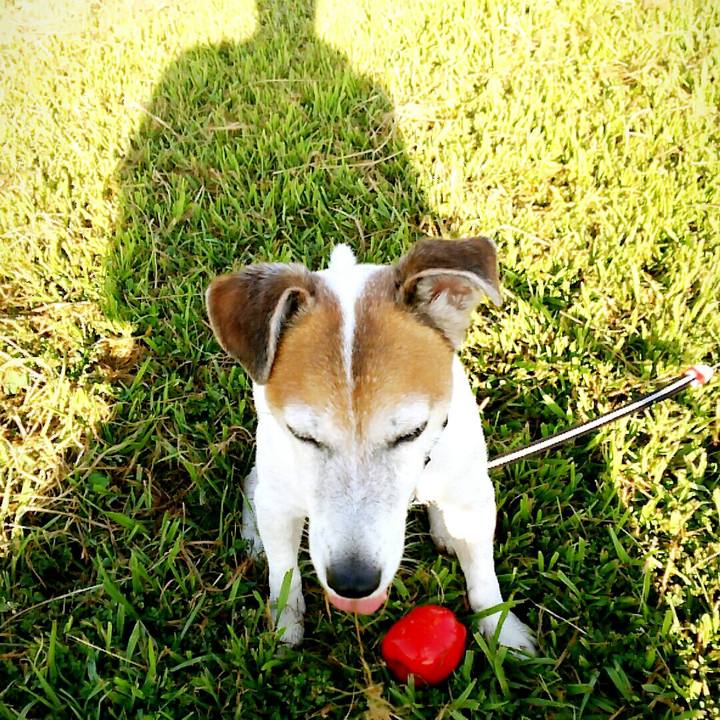 1bd7a2f8 3556 45a5 9d33 e74c10ae97ae