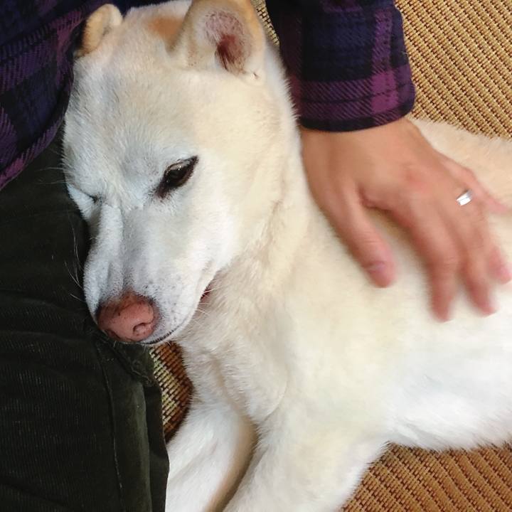 1bd7fea1 92b0 4f00 927c 4ec66d8cd8ae