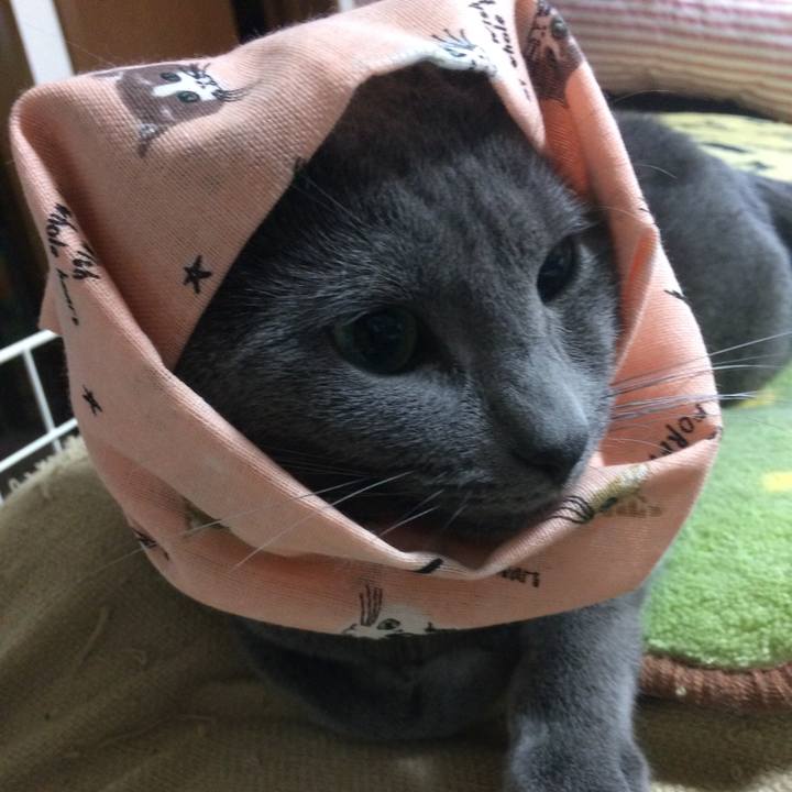 1bd83979 caca 4604 9dd6 5ea46892eb2a