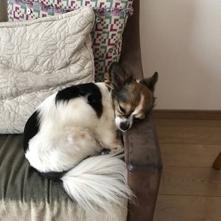 1bd84ff4 5745 4bfa 8cf5 ee264f11dd02