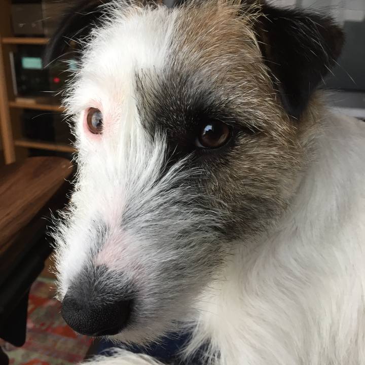 1bd95cd5 ad07 4972 b980 b6529b39d34f