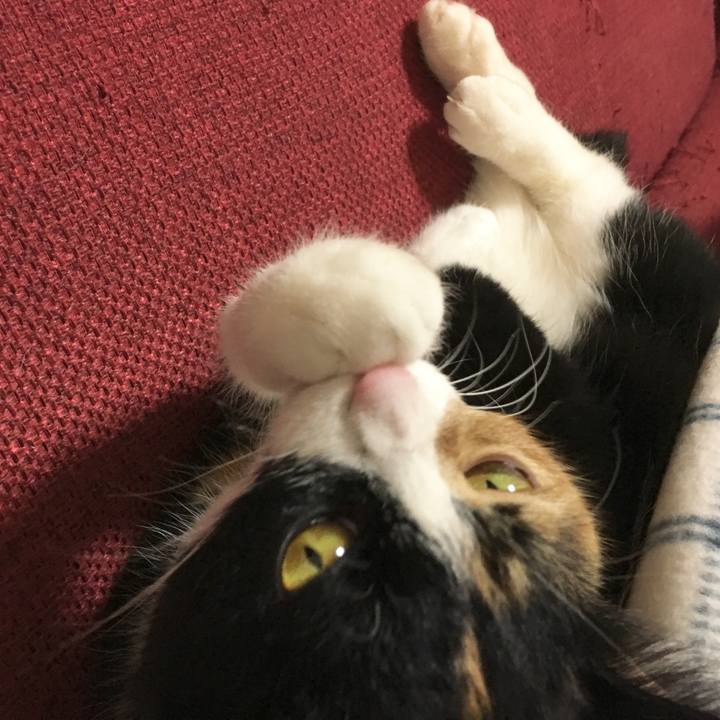 1bd9f40f b319 4070 9efc f679b1c75a85