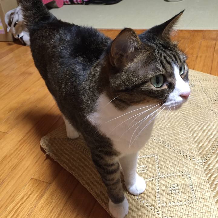 1bda7219 7b65 43eb ab32 9ddf572bde8f