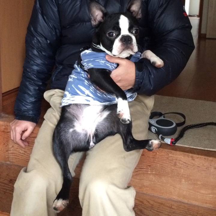 1bdacc0a 80b8 4027 a82a b3d0a3db9346