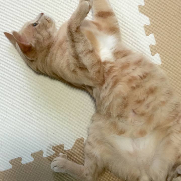 1bdb2cd0 4cd4 4b78 80ff 9a8d76f18fa0