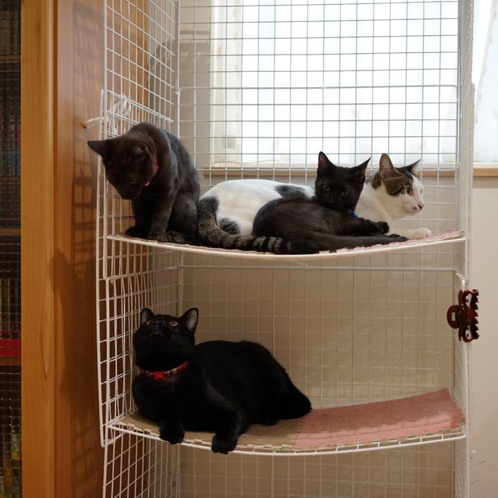 1bdb9149 2092 47ee 8ba3 3542542a6a24