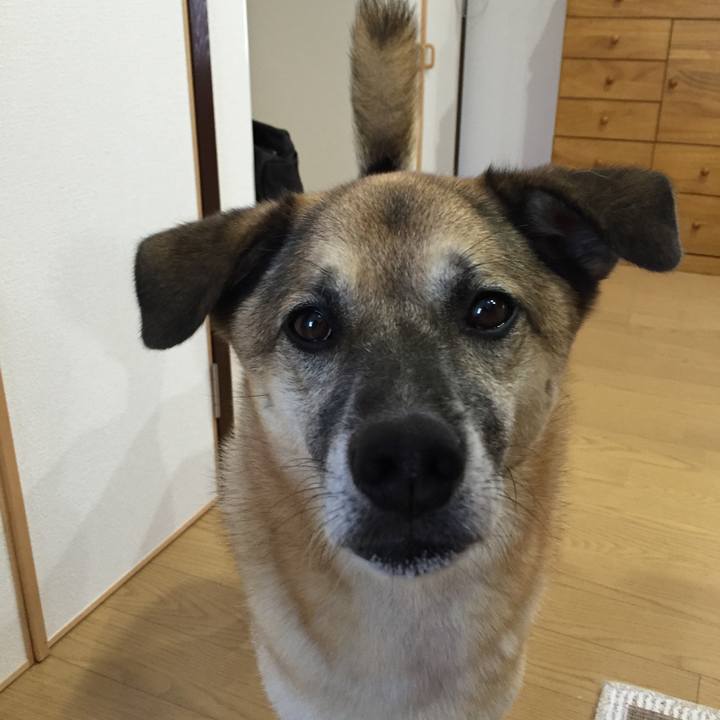 1bdbd1f5 77a5 44aa bf6d dbc51c713dc0