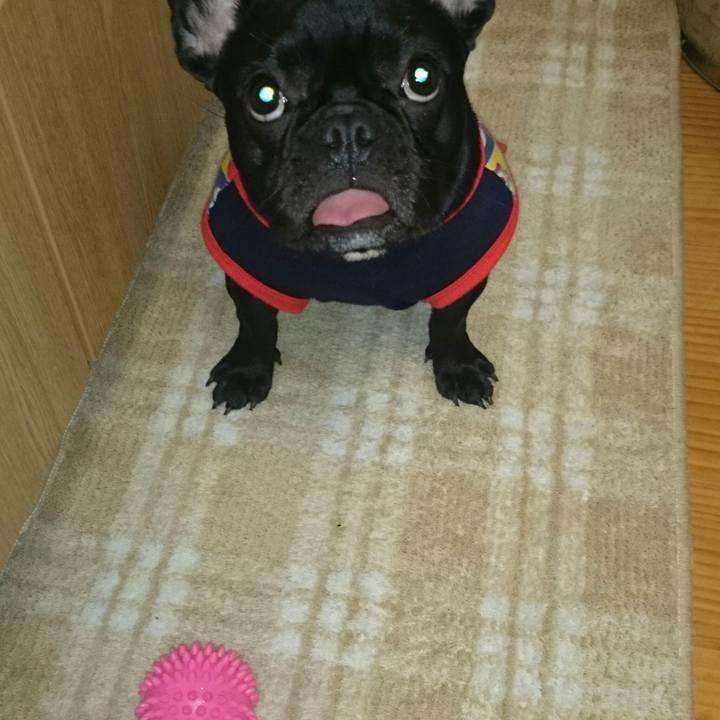 1bdbd8fa 5dbf 4467 89e7 21ead88148c8