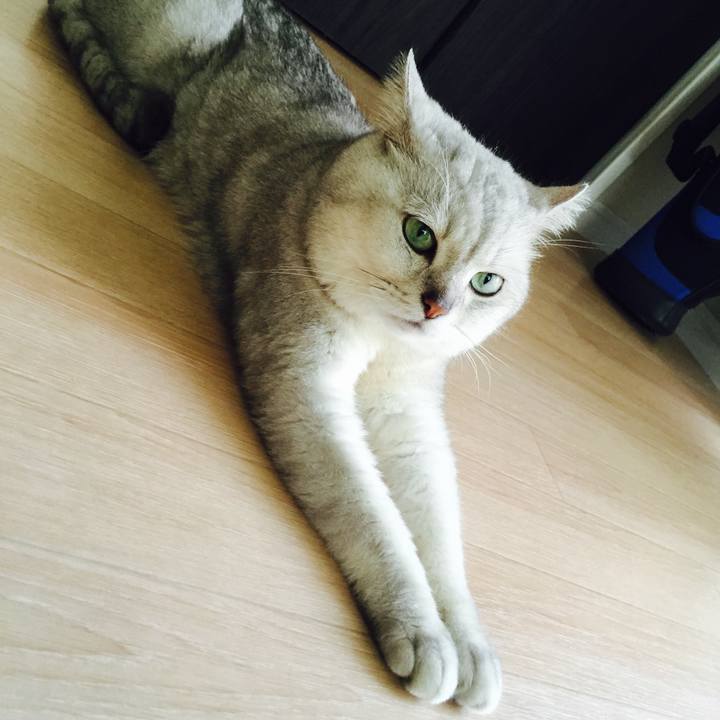 1bdd77d1 36c7 4329 8755 482587d59297