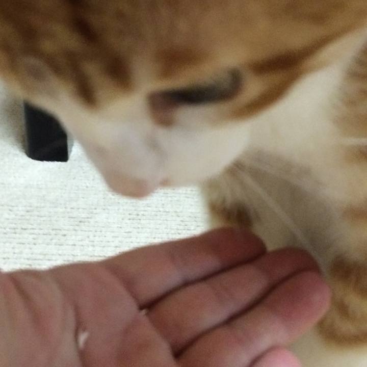 1bddb3de ba22 4b4c 9527 541743bbedba