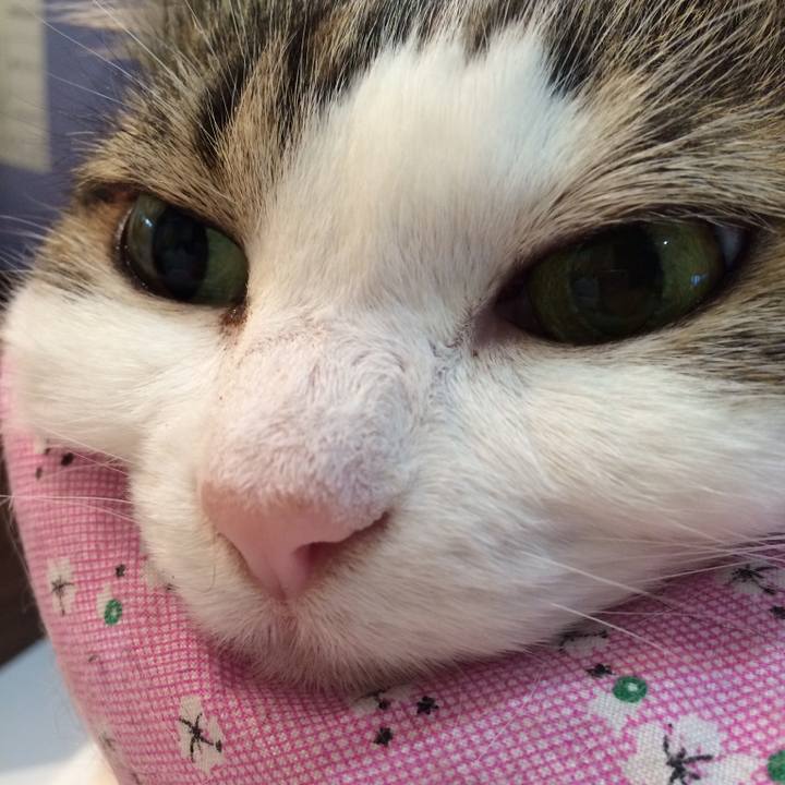 1bddb876 4f1e 40d7 9dc5 c7346ff6ddbe